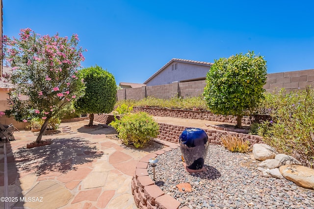 5590 W Acacia Blossom Pl, Marana, AZ 85658 - fenced backyard with a patio area