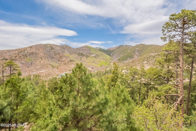 12709 N Casa Grande Ave, Mount Lemmon, AZ 85619 - view of mountain backdrop