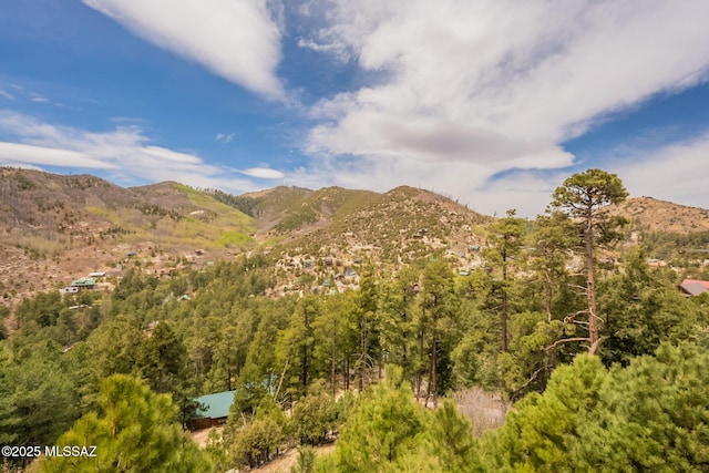 12709 N Casa Grande Ave, Mount Lemmon, AZ 85619 - view of mountain backdrop