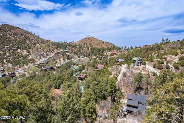 12709 N Casa Grande Ave, Mount Lemmon, AZ 85619 - view of mountain backdrop