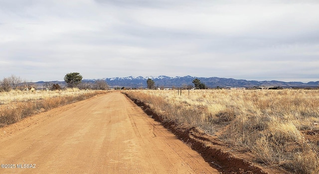 1LOT E Mockingbird Rd Unit 19, Pearce, AZ 85625