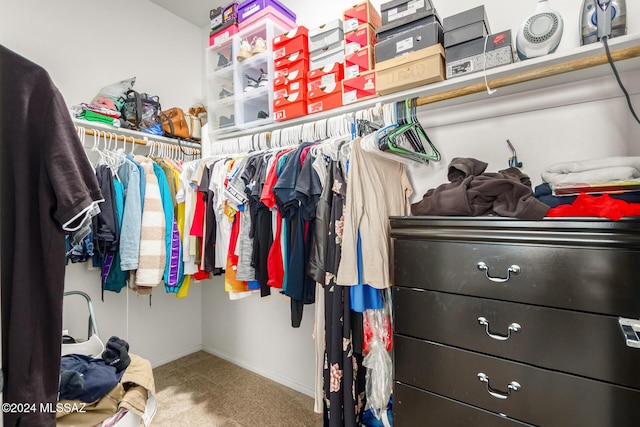 6210 S Open Desert Pl, Tucson, AZ 85706 - walk in closet with carpet floors