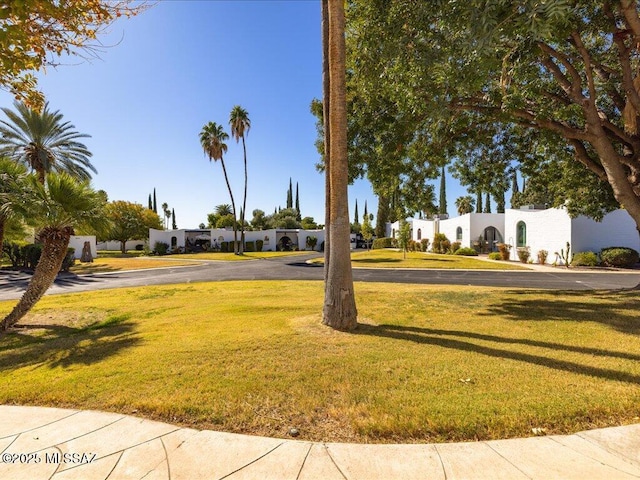 641 W Las Lomitas Rd, Tucson, AZ 85704 - view of home's community with a yard