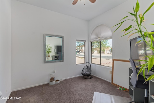 5608 Shady Grove, Tucson, AZ 85742 - exercise area with carpet flooring, a ceiling fan, and baseboards