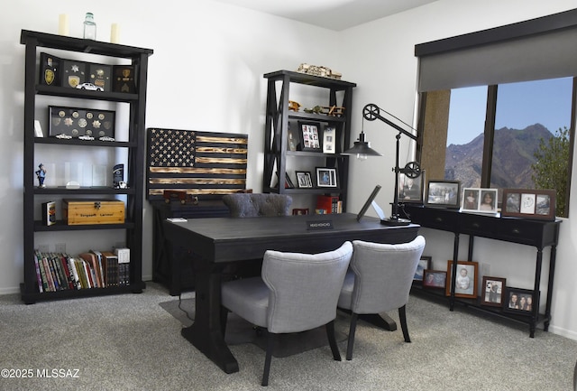 8867 S Welsh Pl, Hereford, AZ 85615 - carpeted home office with a mountain view and baseboards