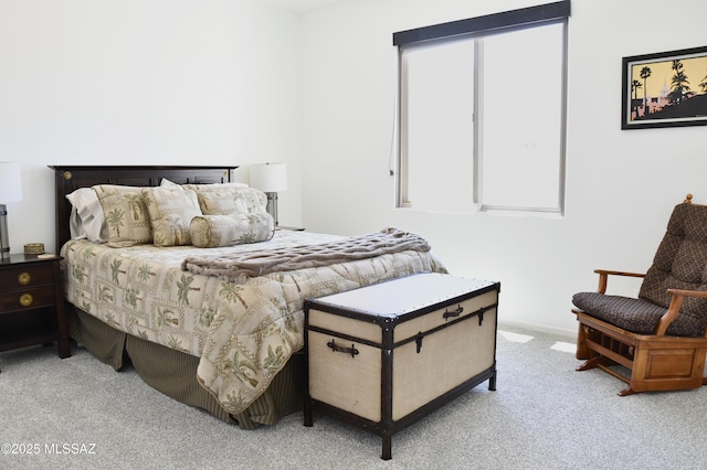 8867 S Welsh Pl, Hereford, AZ 85615 - view of carpeted bedroom