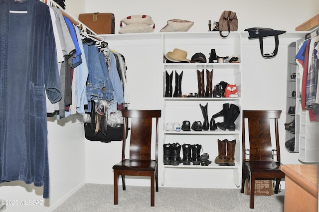 8867 S Welsh Pl, Hereford, AZ 85615 - walk in closet with carpet