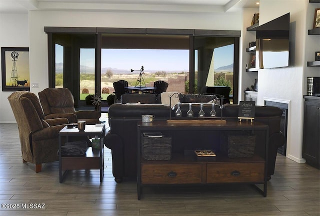 8867 S Welsh Pl, Hereford, AZ 85615 - living room featuring dark wood-style floors, baseboards, and a fireplace