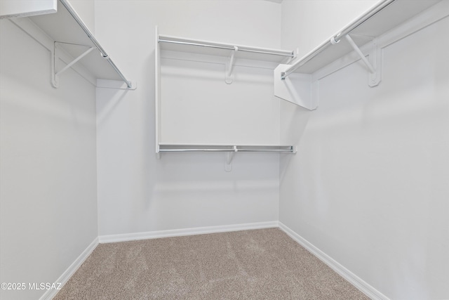 45 N Lookout Knob Dr, Sahuarita, AZ 85629 - spacious closet featuring carpet