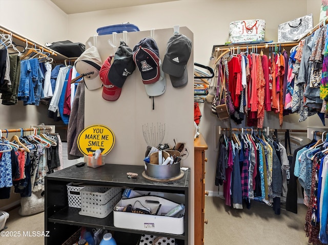 380 E Via Puente De La Lluvia, Sahuarita, AZ 85629 - spacious closet featuring carpet