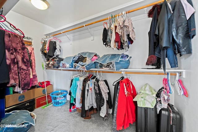 139 W Cheevers St, Vail, AZ 85641 - spacious closet with carpet floors