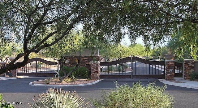 13715 N Tessali Way, Tucson, AZ 85755 - view of gate
