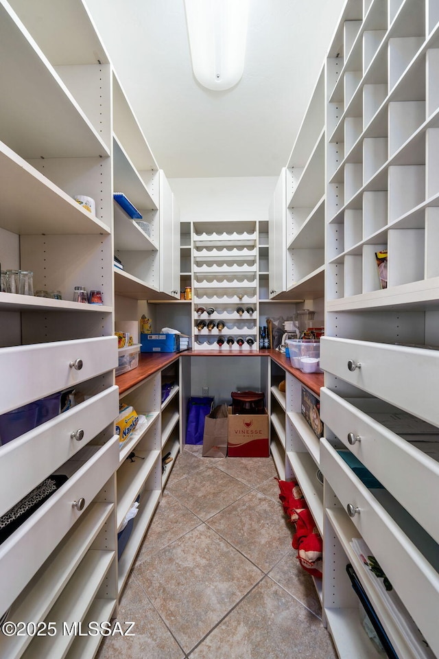 1048 E Rodda River Pl, Tucson, AZ 85718 - view of storage area
