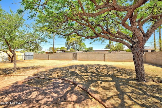 5721 E Scarlett St, Tucson, AZ 85711 - view of yard
