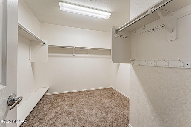 1173 W Calle Vista De Suenos, Sahuarita, AZ 85629 - spacious closet featuring carpet flooring