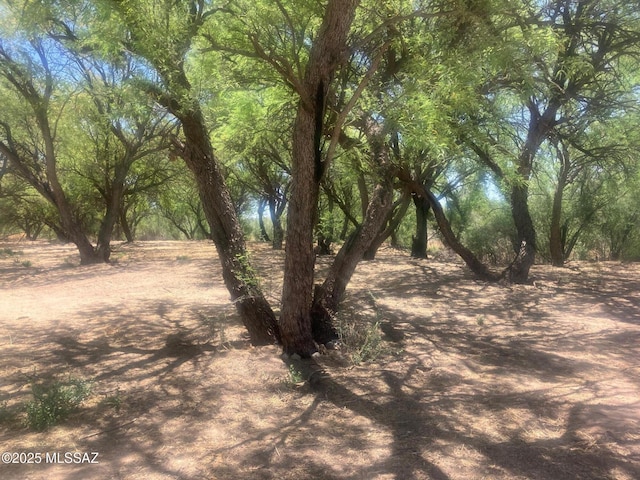 1015 W Patton St, Saint David, AZ 85630