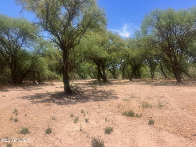 1015 W Patton St, Saint David, AZ 85630