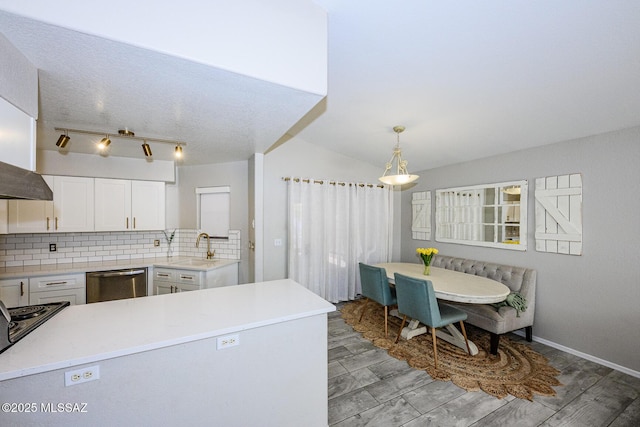 2943 N Gold Creek Pl, Tucson, AZ 85745 - kitchen with dishwasher, white cabinetry, tasteful backsplash, light countertops, and pendant lighting