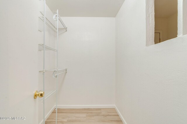 1600 N Wilmot Rd Unit 155, Tucson, AZ 85712 - walk in closet with light wood-style flooring