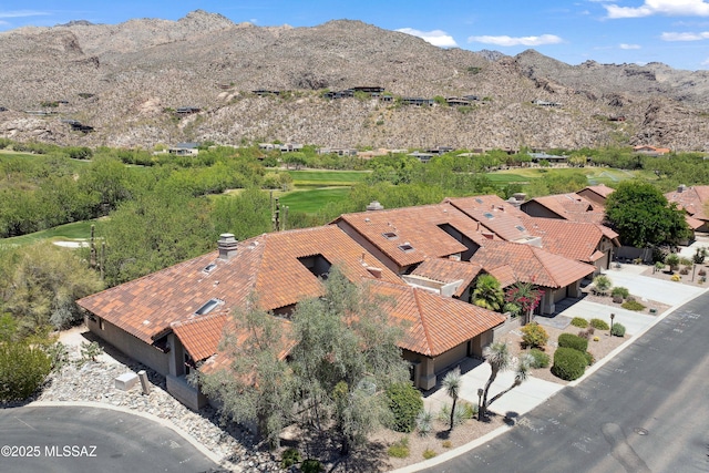 7133 E Grey Fox Ln, Tucson, AZ 85750 - mountain view