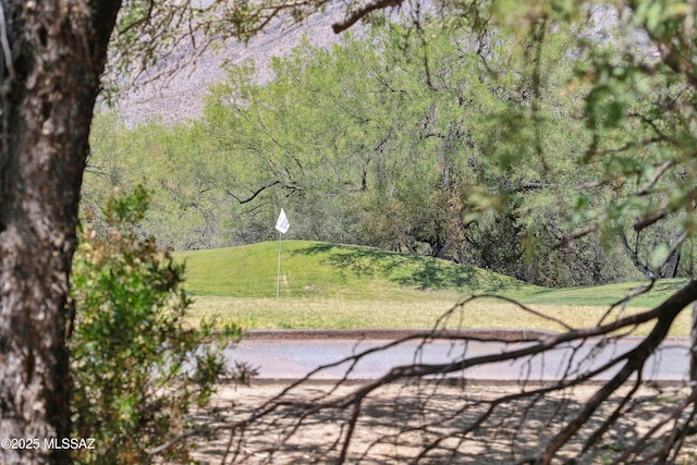 7133 E Grey Fox Ln, Tucson, AZ 85750 - view of property's community featuring a yard