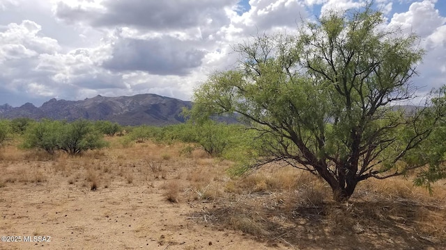 1ACRE W Birch Rd Unit 3, Pearce, AZ 85625