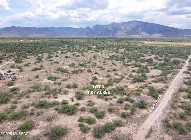 1ACRE W Birch Rd Unit 3, Pearce, AZ 85625