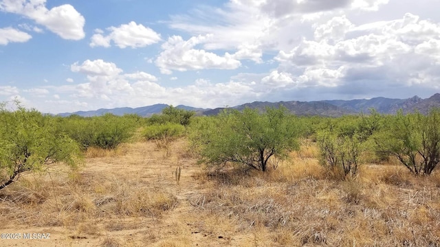 1ACRE W Birch Rd Unit 3, Pearce, AZ 85625