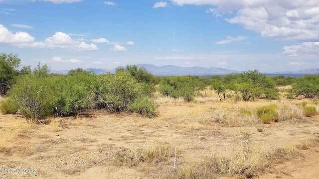 1ACRE W Birch Rd Unit 3, Pearce, AZ 85625