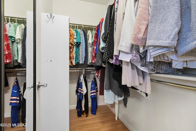 14511 S Camino Tierra Luna, Sahuarita, AZ 85629 - walk in closet featuring wood finished floors