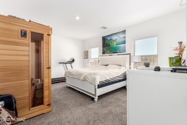 5568 W Summer Vw Dr, Marana, AZ 85658 - carpeted bedroom with recessed lighting