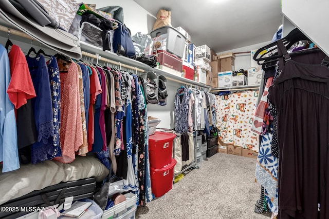 5568 W Summer Vw Dr, Marana, AZ 85658 - walk in closet with carpet