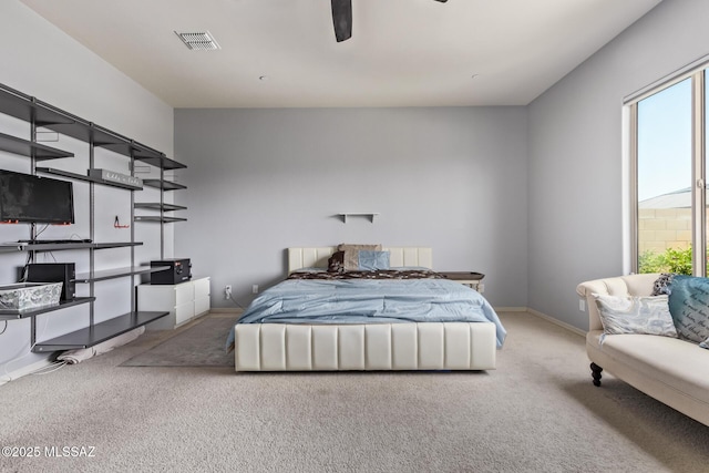 11874 N Raphael Way, Tucson, AZ 85742 - bedroom with carpet and baseboards