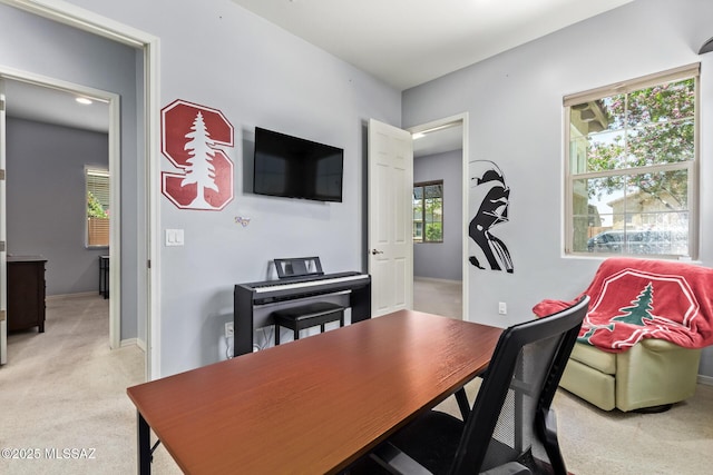 11874 N Raphael Way, Tucson, AZ 85742 - office featuring light carpet and baseboards