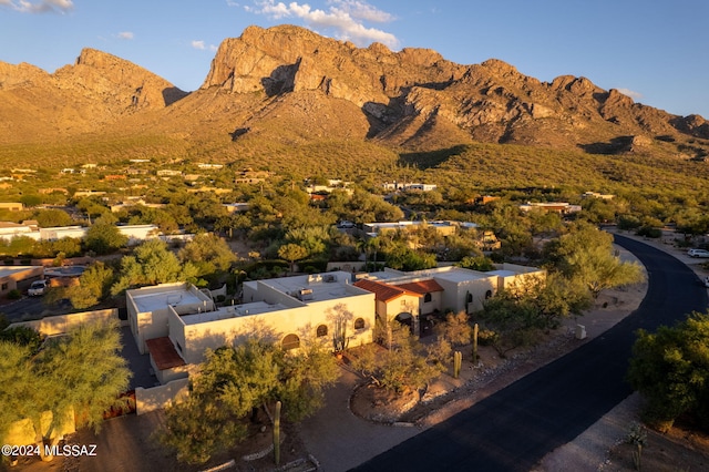 9710 N Cliff View Pl, Oro Valley, AZ 85704 - view of mountain backdrop