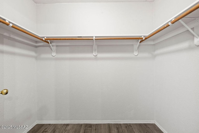 7925 S Danforth Ave, Tucson, AZ 85747 - walk in closet with dark wood finished floors