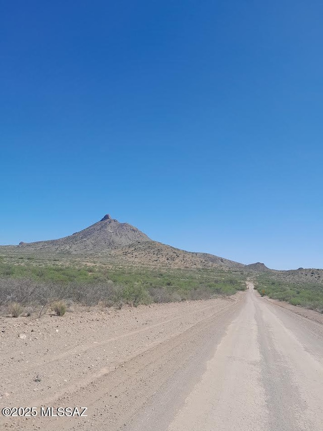 000 E Mulberry Dr Unit 125, Douglas, AZ 85607