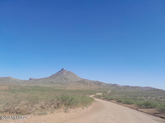 000 E Mulberry Dr Unit 125, Douglas, AZ 85607