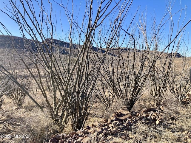 TBD N Wilderness Trl, Douglas, AZ 85607