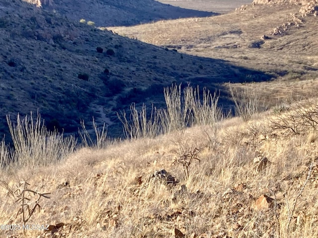 TBD N Wilderness Trl, Douglas, AZ 85607
