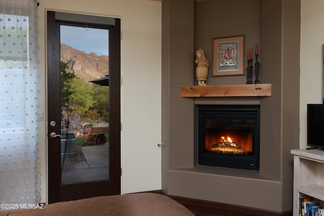 10550 N Lambert Pl, Tucson, AZ 85737 - entryway featuring a glass covered fireplace, wood finished floors, and baseboards