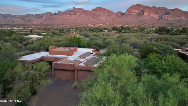 10550 N Lambert Pl, Tucson, AZ 85737 - view of mountain background