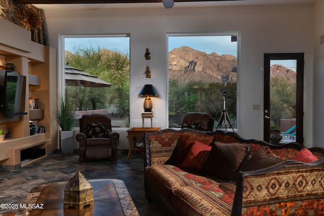 10550 N Lambert Pl, Tucson, AZ 85737 - living room featuring a mountain view and plenty of natural light