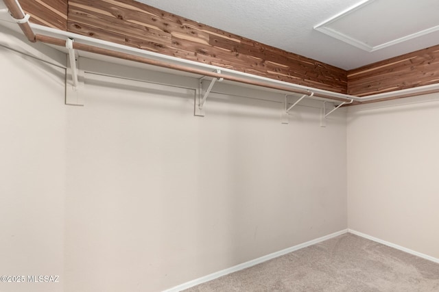 231 E Highcourte Ln, Tucson, AZ 85737 - walk in closet featuring carpet and attic access