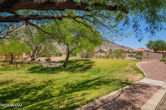 231 E Highcourte Ln, Tucson, AZ 85737 - view of yard with a mountain view