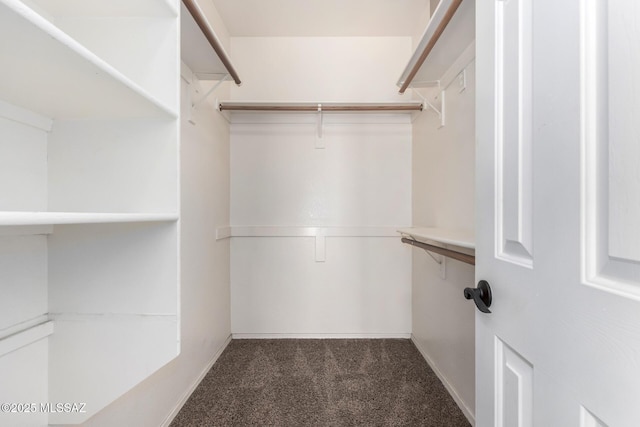 9102 N Safflower Ln, Tucson, AZ 85743 - walk in closet with dark carpet