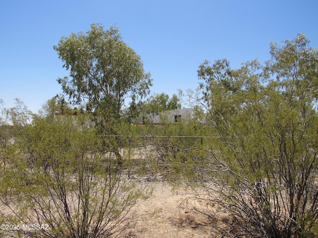 11985 N Cayce Ln, Casa Grande, AZ 85194 - view of local wilderness