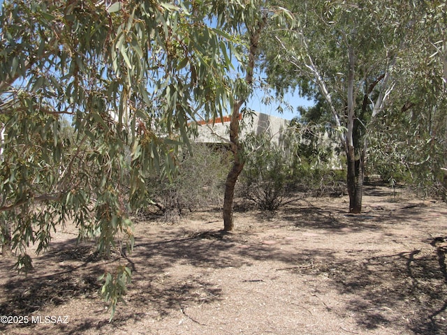 11985 N Cayce Ln, Casa Grande, AZ 85194 - view of yard