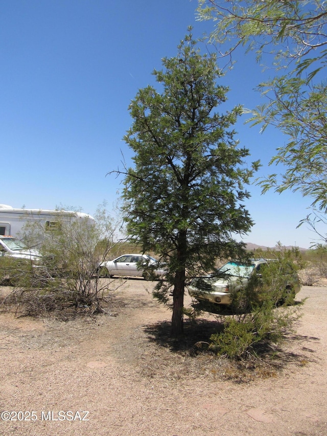 11985 N Cayce Ln, Casa Grande, AZ 85194 - view of yard