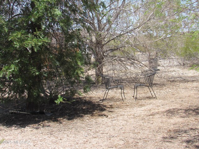 11985 N Cayce Ln, Casa Grande, AZ 85194 - view of nature